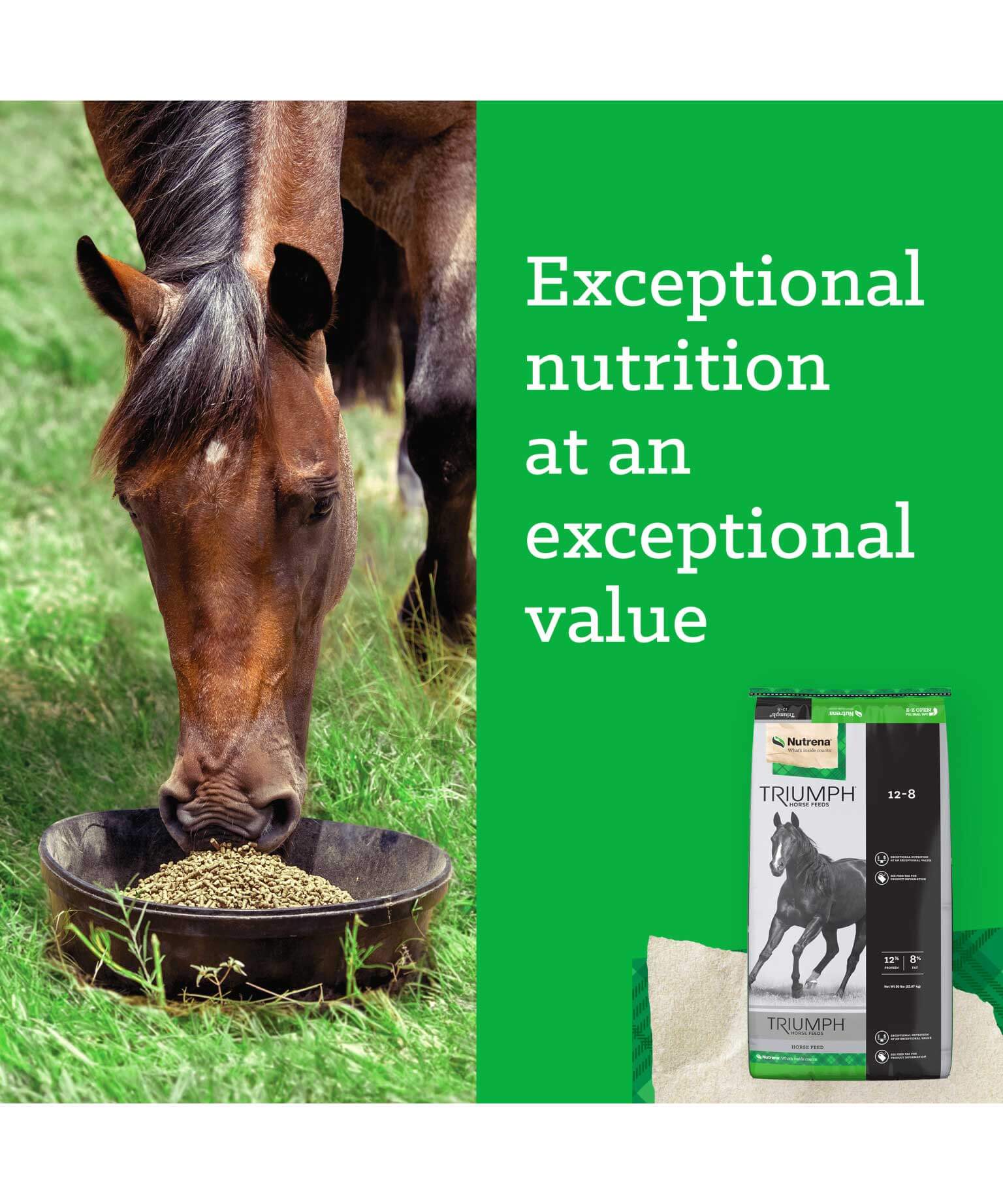 Nutrena Triumph 12-8 Horse Pellet - Image 6
