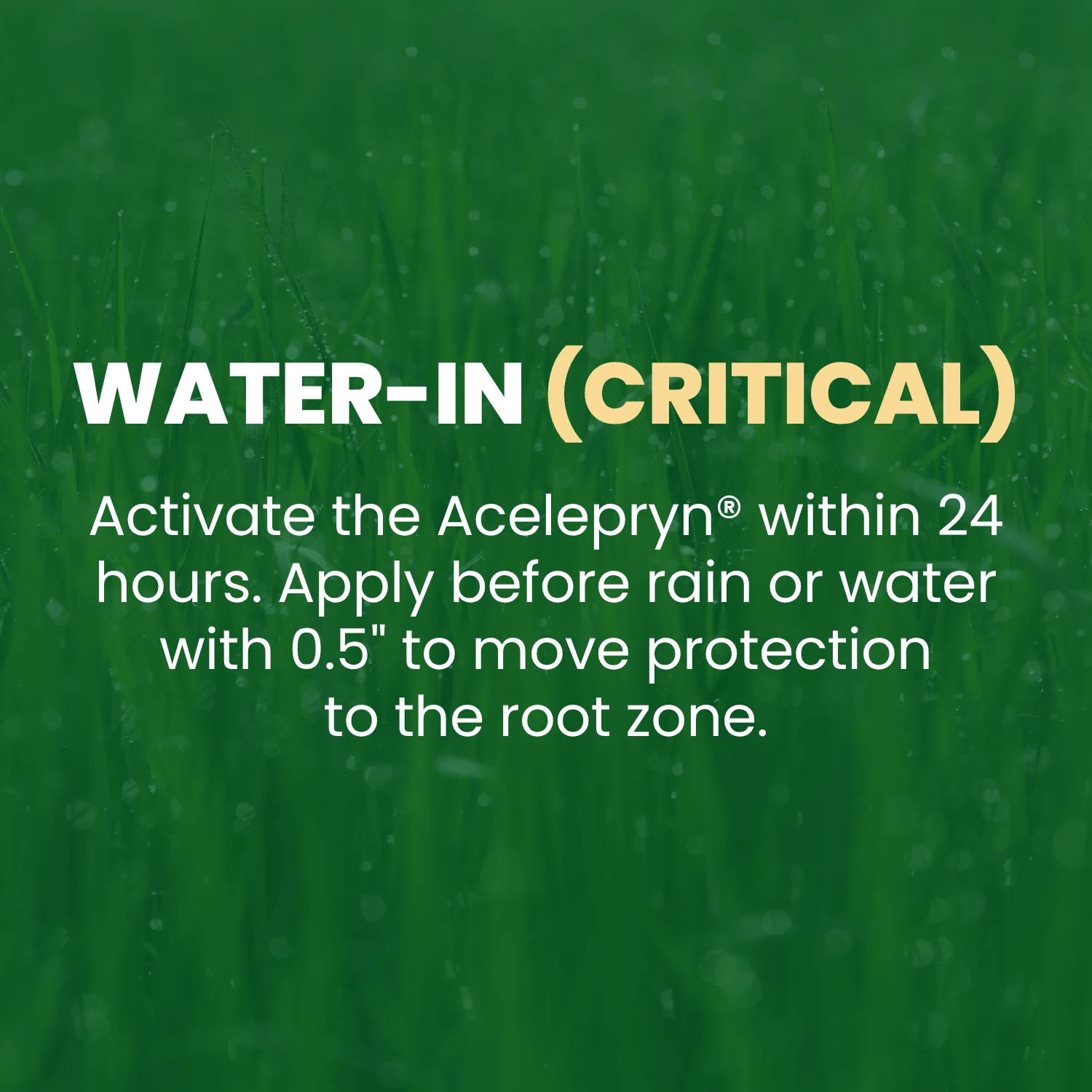 15-0-5 .067 Acelepryn Grub Control and Lawn Fertilizer - Image 4
