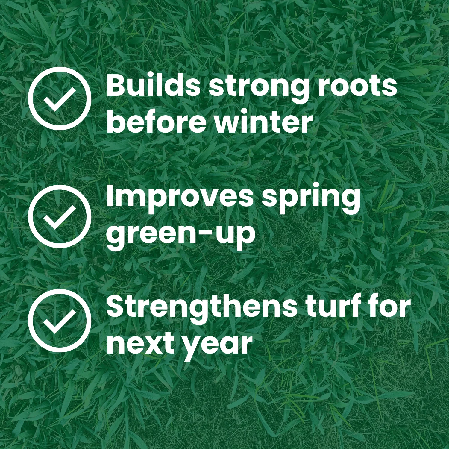 Step 4 | The Mill 32-0-6 30% XCU Lawn Fertilizer - Image 6