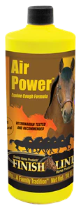 Air Power Finish Line Horse