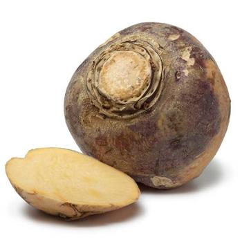 American Purple Top Rutabaga Vegetable Seed