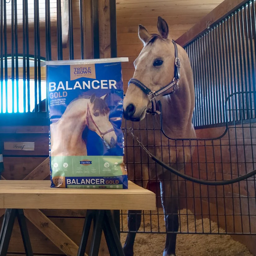Triple Crown Balancer Gold Horse Feed