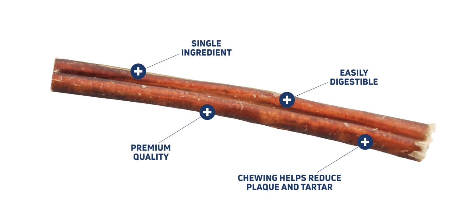 Barkworthies Bully Stick 12 Inch Dog Treat - Image 2