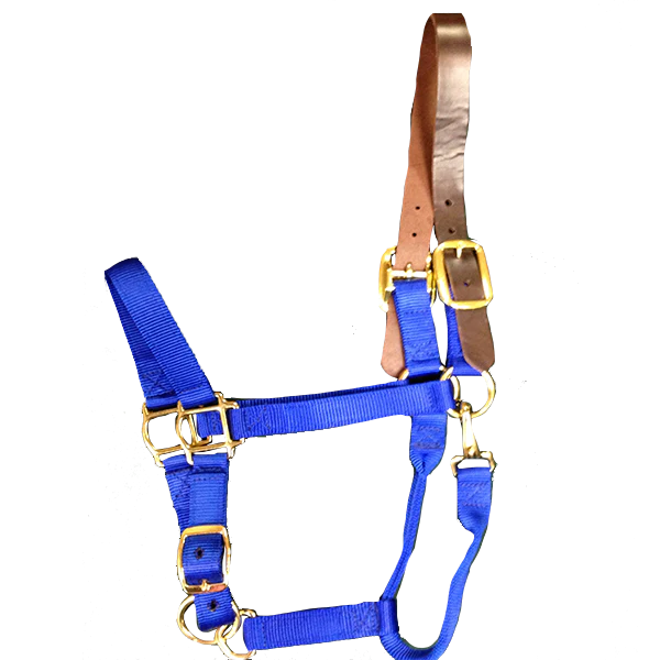 Breakaway Horse Halter - Image 3