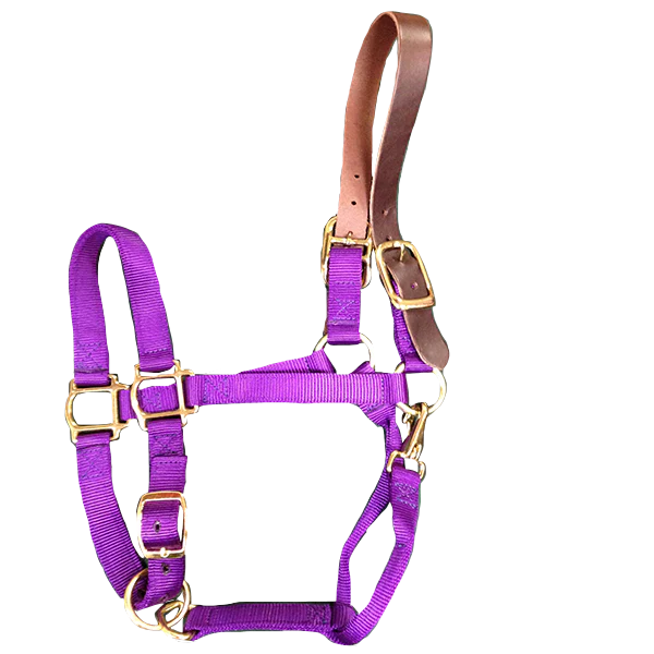 Breakaway Horse Halter - Image 4
