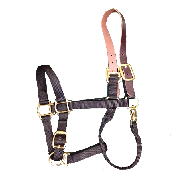 Breakaway Horse Halter - Image 5