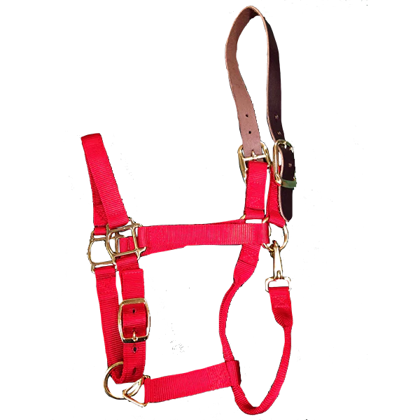 Breakaway Horse Halter - Image 6