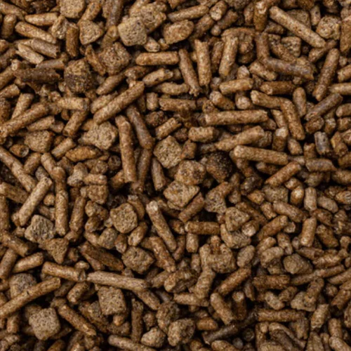 BUCKEYE™ Nutrition EQ8™ Gut Health Horse Feed - Image 3