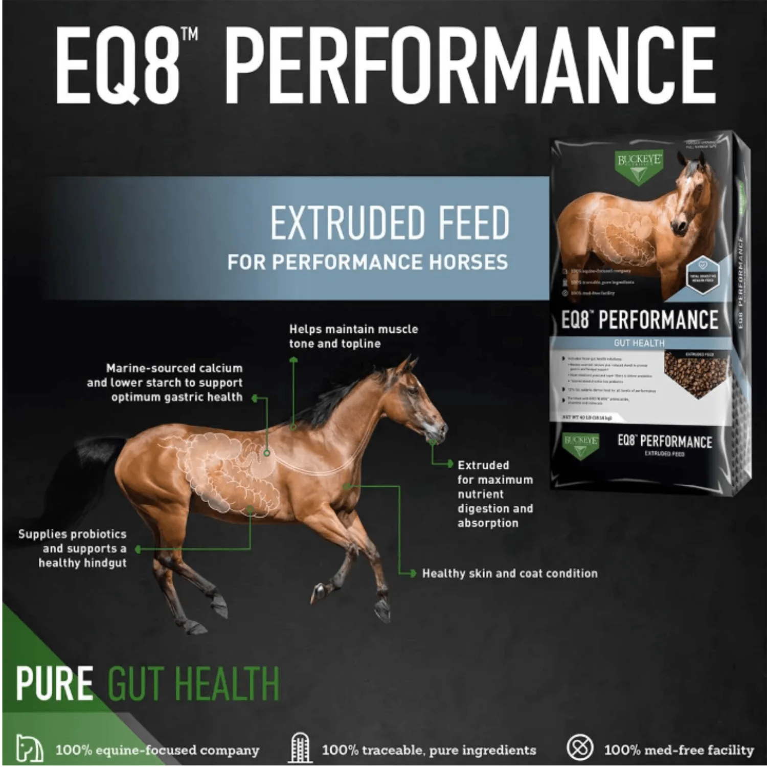 Buckeye Nutrition® EQ8® Gut Health Performance Horse Feed – 50 lb. - Image 2