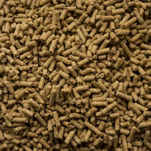 BUCKEYE™ Nutrition Senior Balancer Horse Feed - Image 3