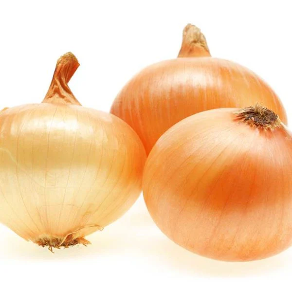 Candy Hybrid Onion Sets/Lb.