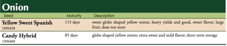 Candy Hybrid Onion Sets/Lb. - Image 2