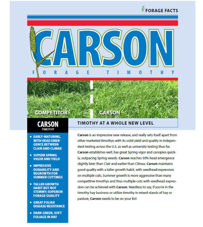 Carson Timothy - Image 3