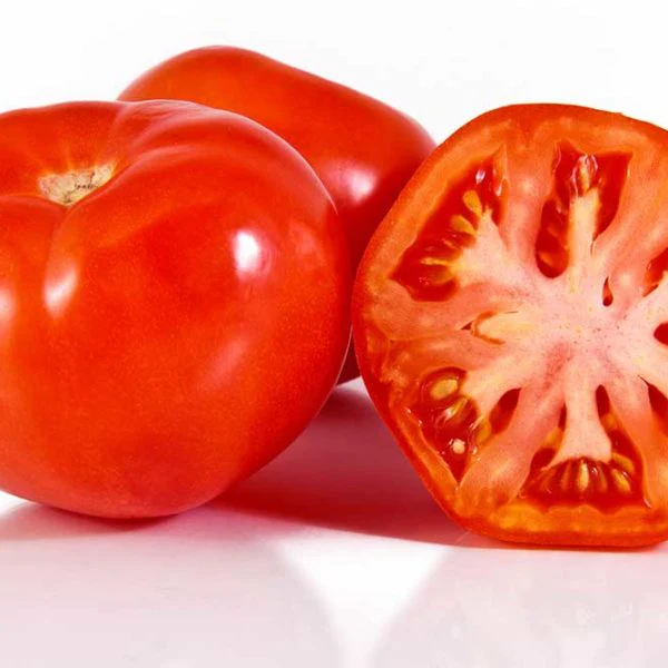 Celebrity Hybrid Tomato Vegetable Seed