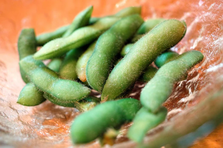 Chiba Edible Soybean Seeds