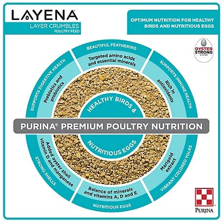 Layena Crumbles Chicken Layer Feed - Image 3