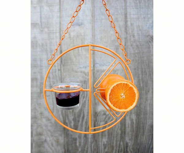 Clementine Oriole Bird Feeder