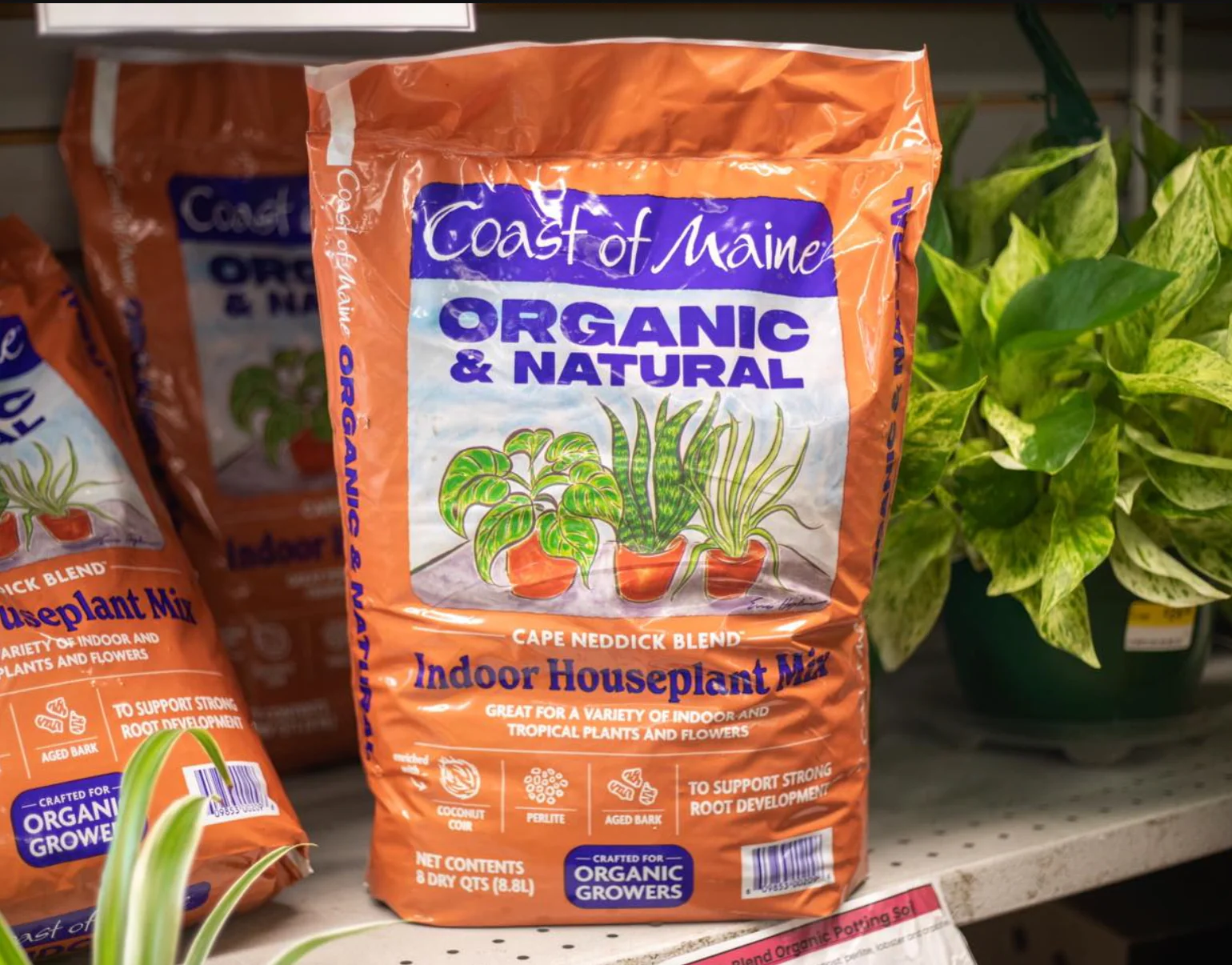 Coast Of Maine Organic Indoor Houseplant Soil Mix - Image 2