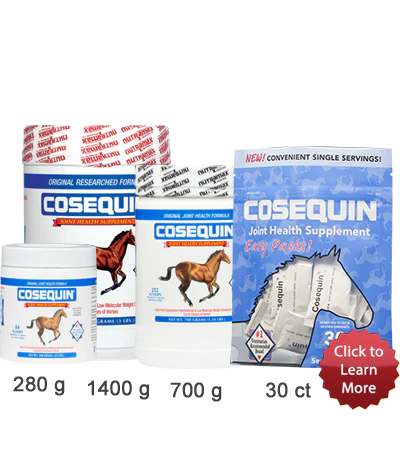 Cosequin Joint Health