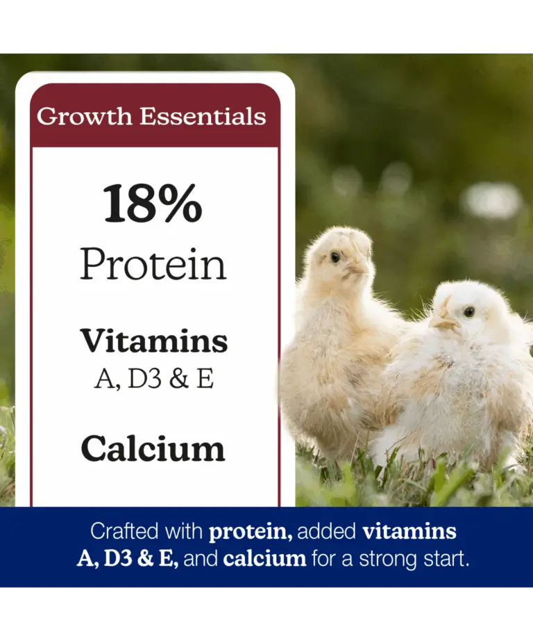 NatureWise Chick Starter Grower Crumbles Chicken Feed, 7 and 50 lb - Image 4