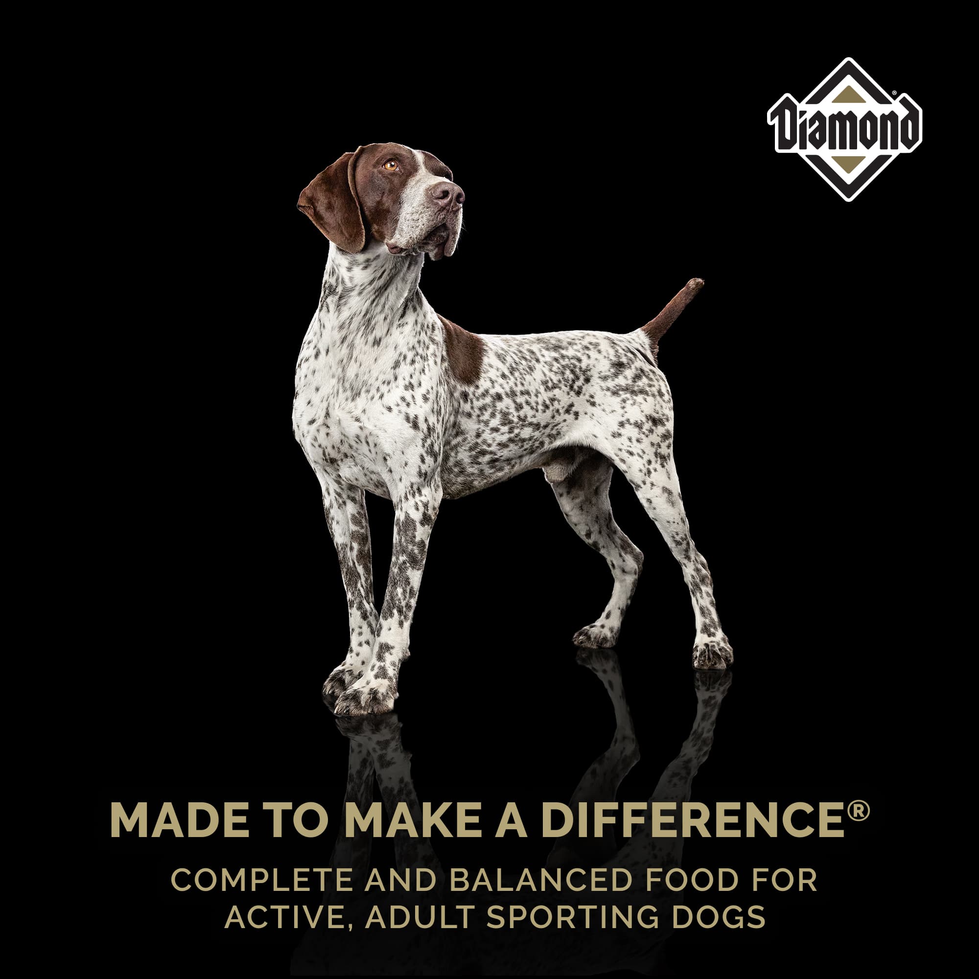 Diamond® High Energy Dry Dog Food - Image 5