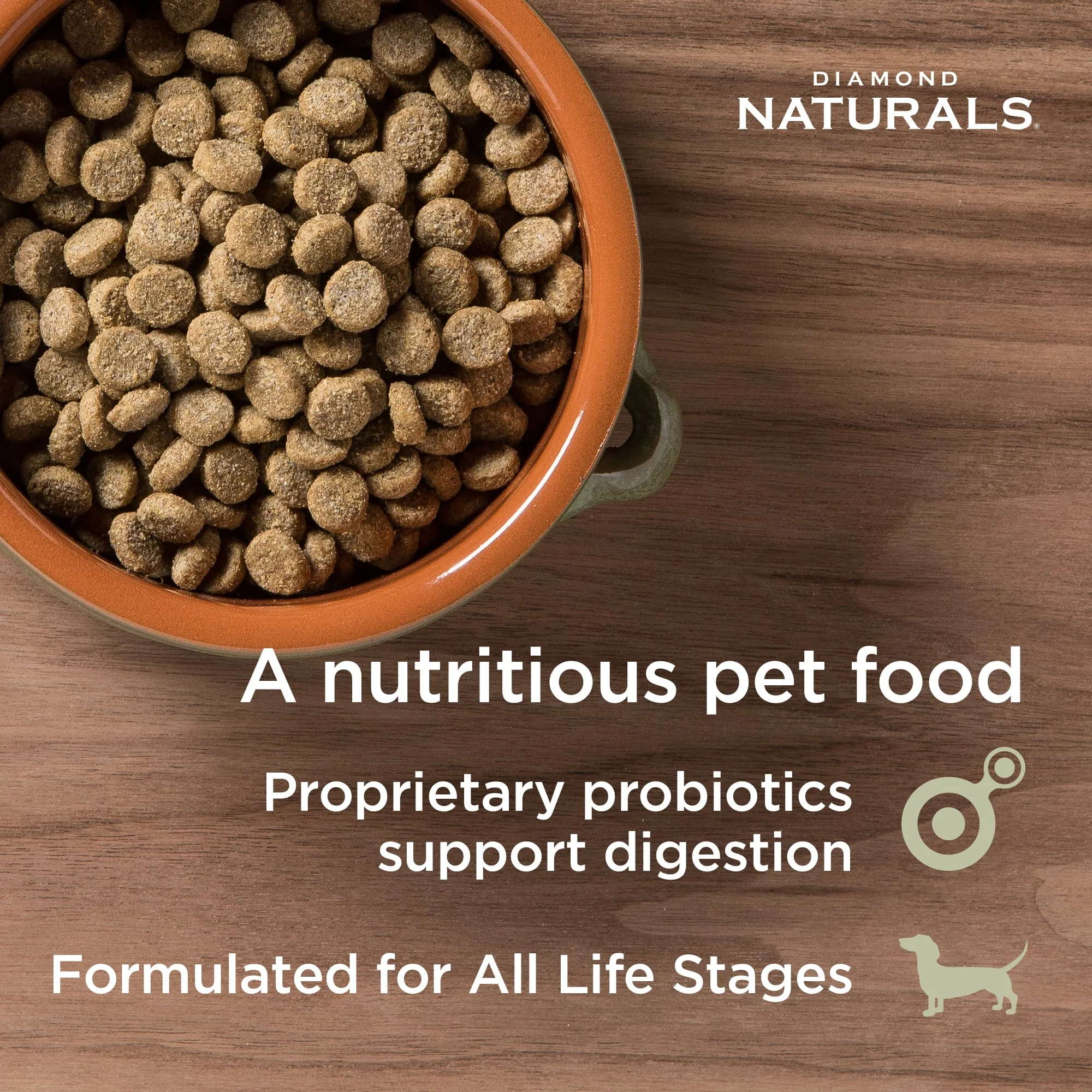 Diamond Naturals® Skin & Coat Salmon & Potato Formula Dry Dog Food - Image 5
