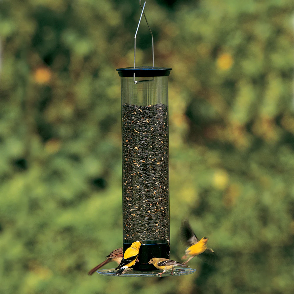 Droll Yankee Tipper Bird Feeder