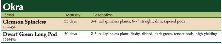 Clemson Spineless Okra Vegetable Seed - Image 2