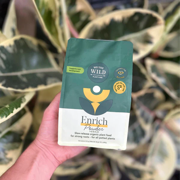Enrich Slow Release Houseplant Food - Image 2