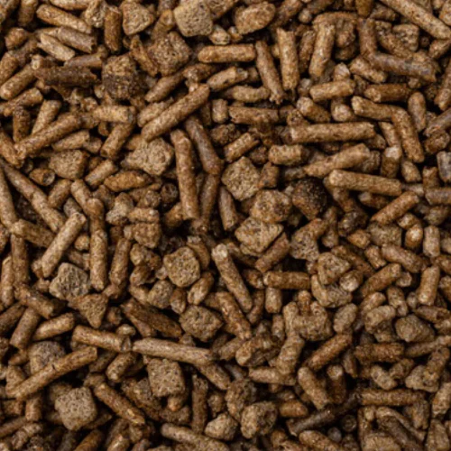 BUCKEYE™ Nutrition EQ8™ Senior Horse Feed - Image 3