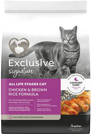 Exclusive Chicken and Rice All Life Stages Dry Cat Food