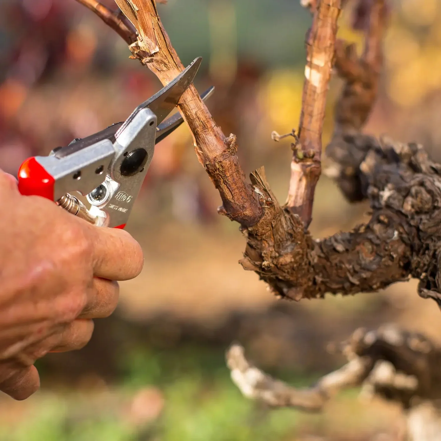 Felco 6 Pruner - Image 2