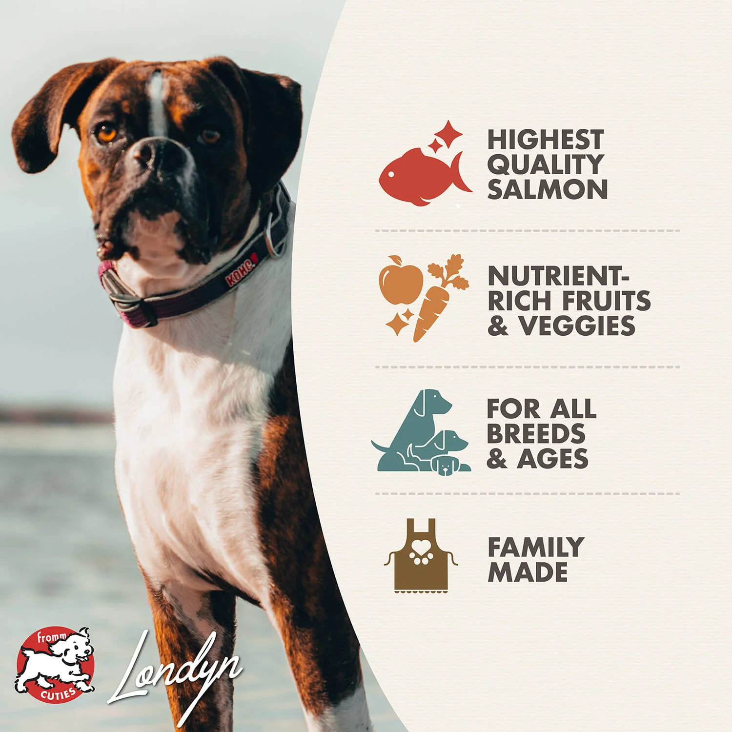 Fromm® Four-Star Salmon À La Veg® Dry Dog Food - Image 2