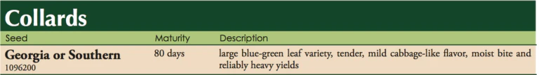 Georgia Southern Collards Vegetable Seed - Image 2