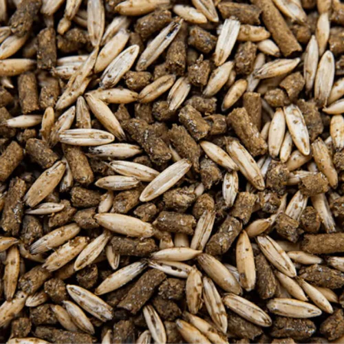 BUCKEYE™ Nutrition Growth Textured Sweet Horse Feed - Image 2