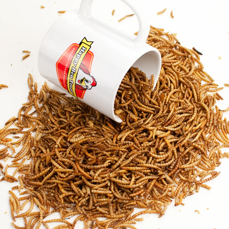 Happy Hen Mealworm Frenzy Dried Mealworms, 10 oz. - Image 5