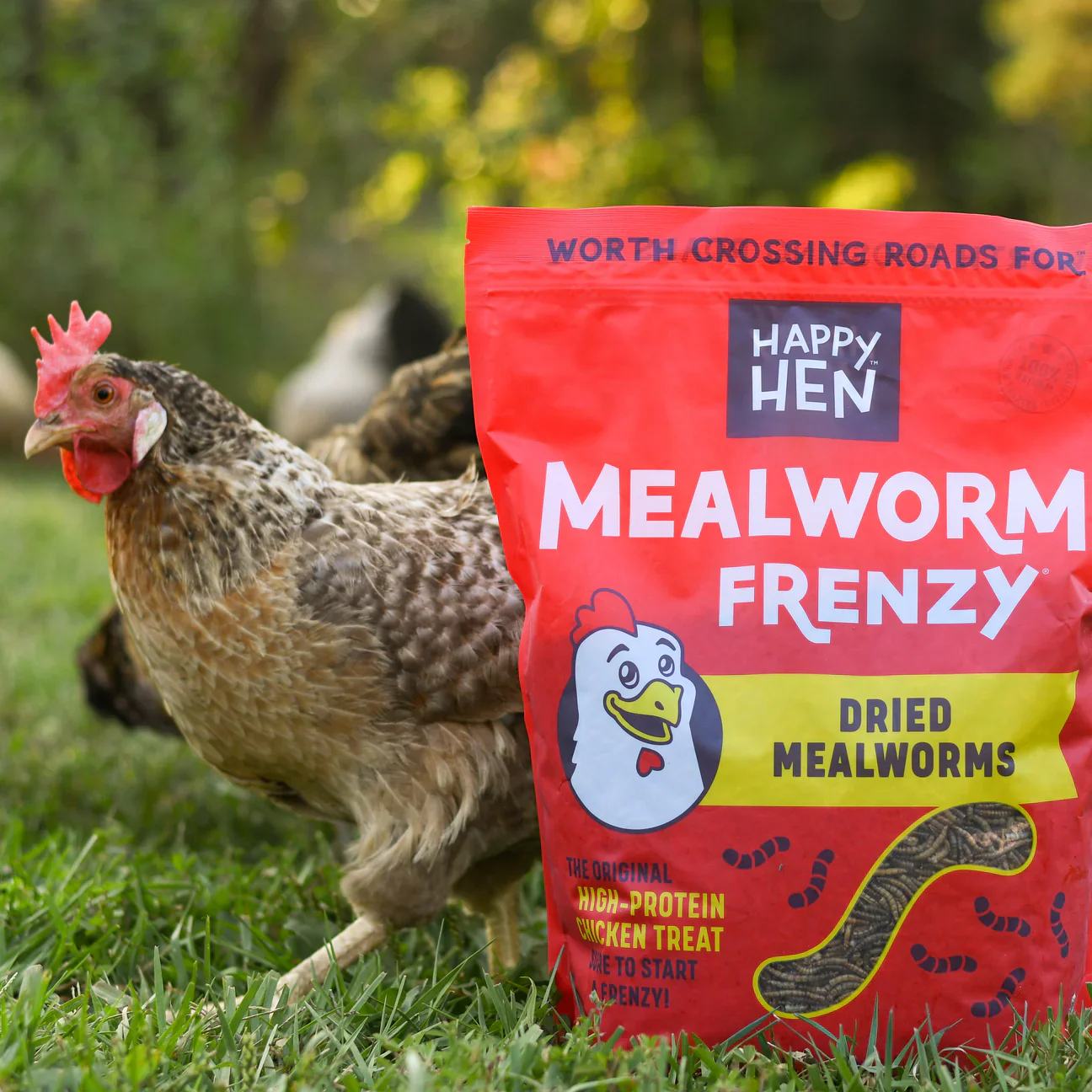 Happy Hen Mealworm Frenzy Dried Mealworms, 30 oz. - Image 5