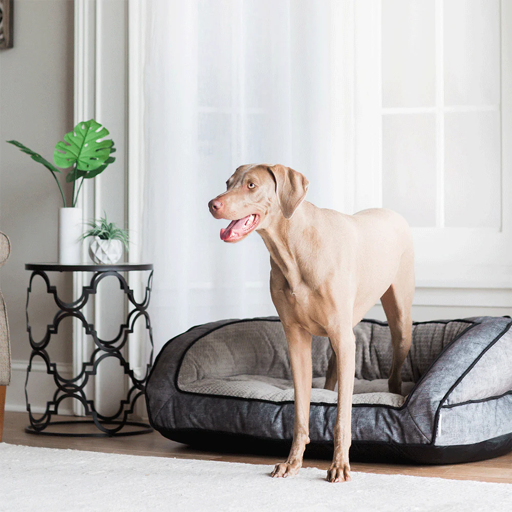 Harper Sofa Bed – Twill Smoke - Image 3