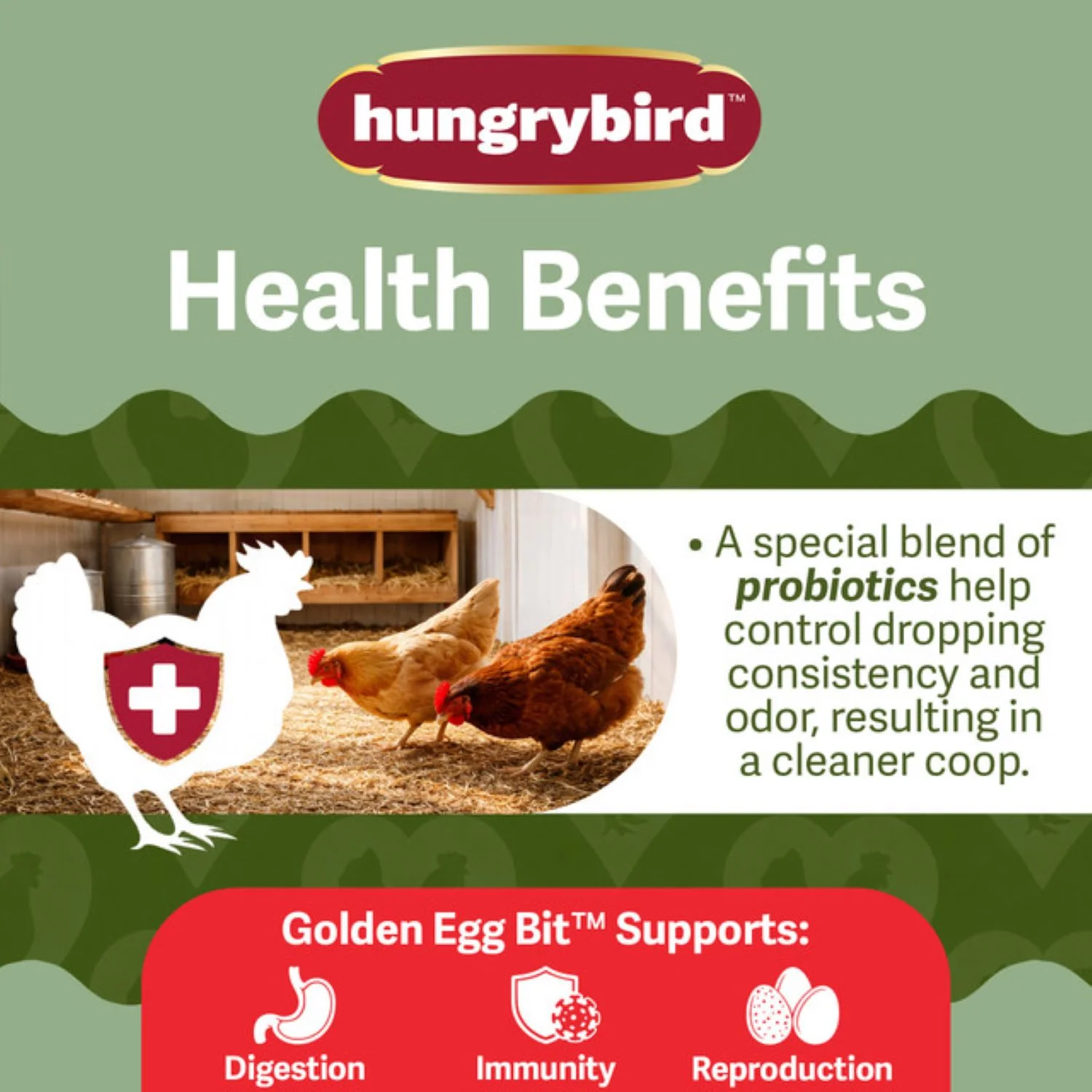 Hungrybird Golden Egg Suet Bits Chicken Treat - Image 2