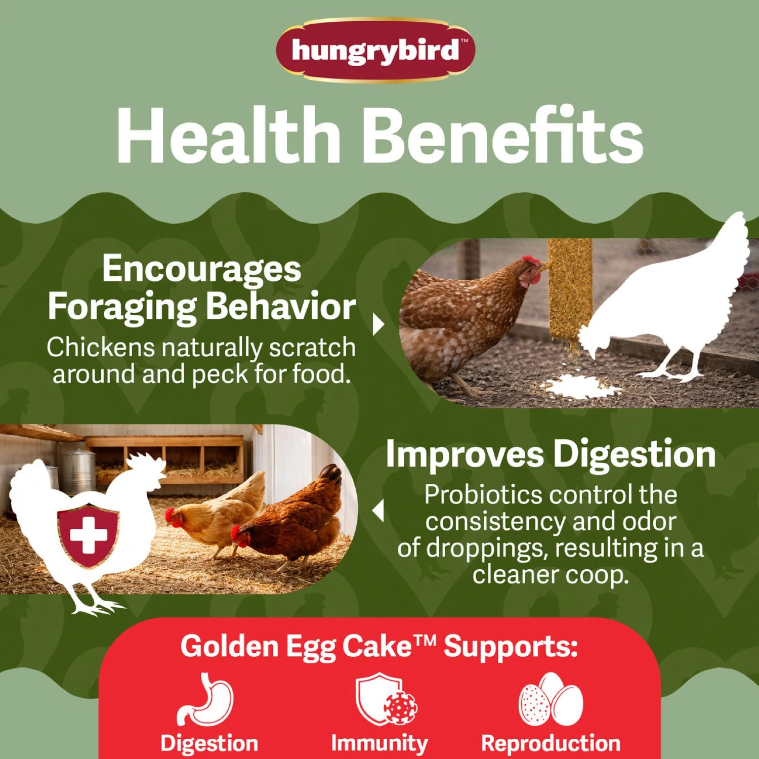 Hungrybird Golden Egg Suet Chicken Treat - Image 3