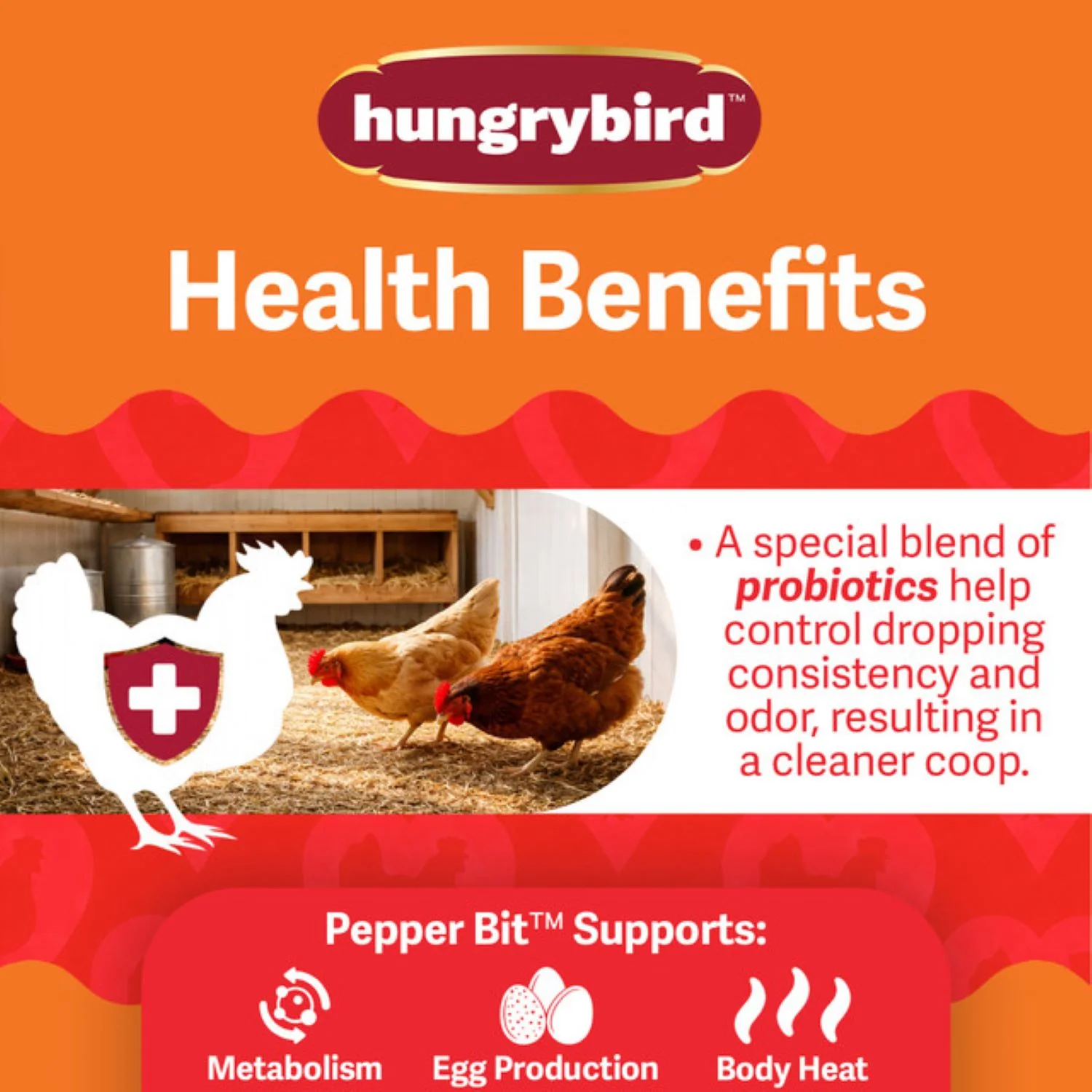 Hungrybird Red Pepper Suet Bits Chicken Treat - Image 2