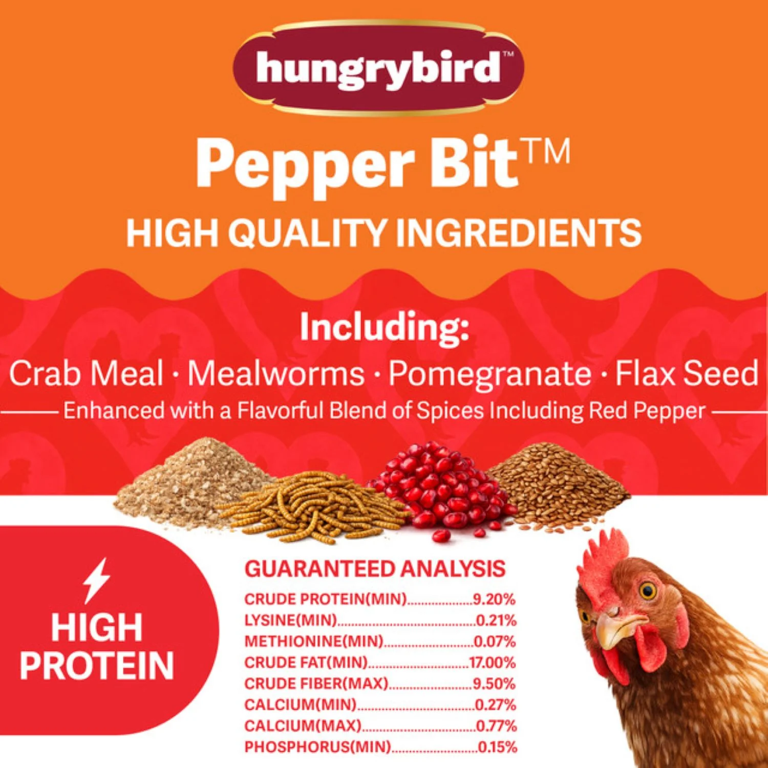 Hungrybird Red Pepper Suet Bits Chicken Treat - Image 3