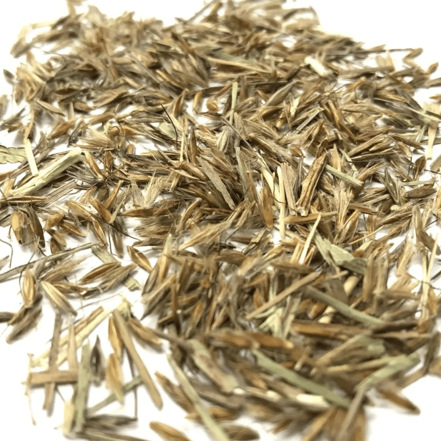 Indiangrass Seed