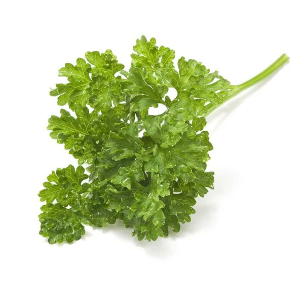 Moss Curled Parsley Vegetable Seed
