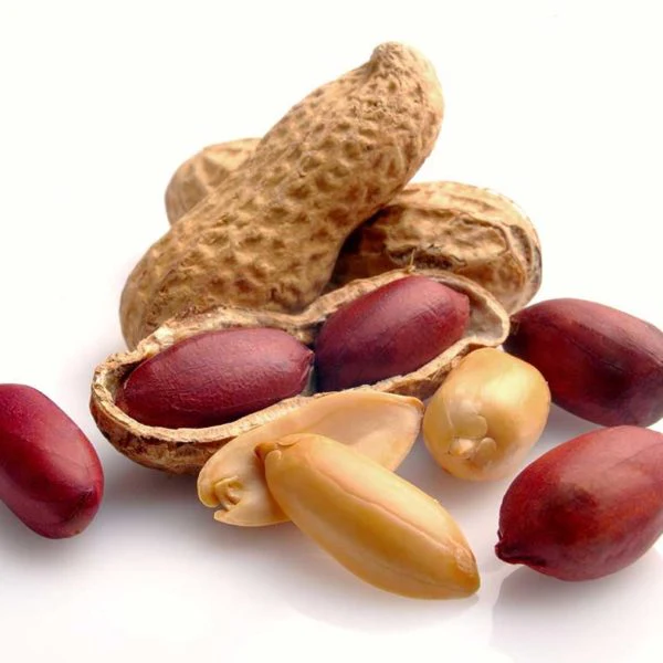 Emery Peanut Vegetable Seed