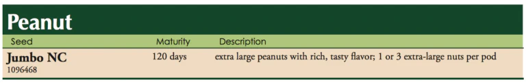 Emery Peanut Vegetable Seed - Image 2