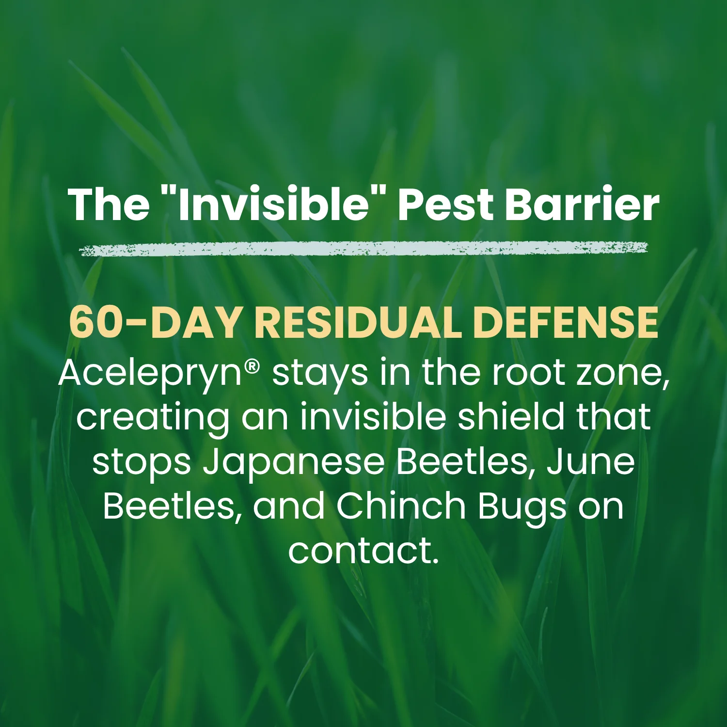 Lebanon Pro® 0-0-7 Fertilizer with .067% Acelepryn - Image 3