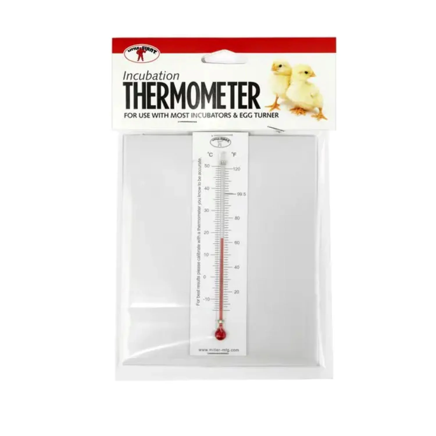Little Giant Thermometer
