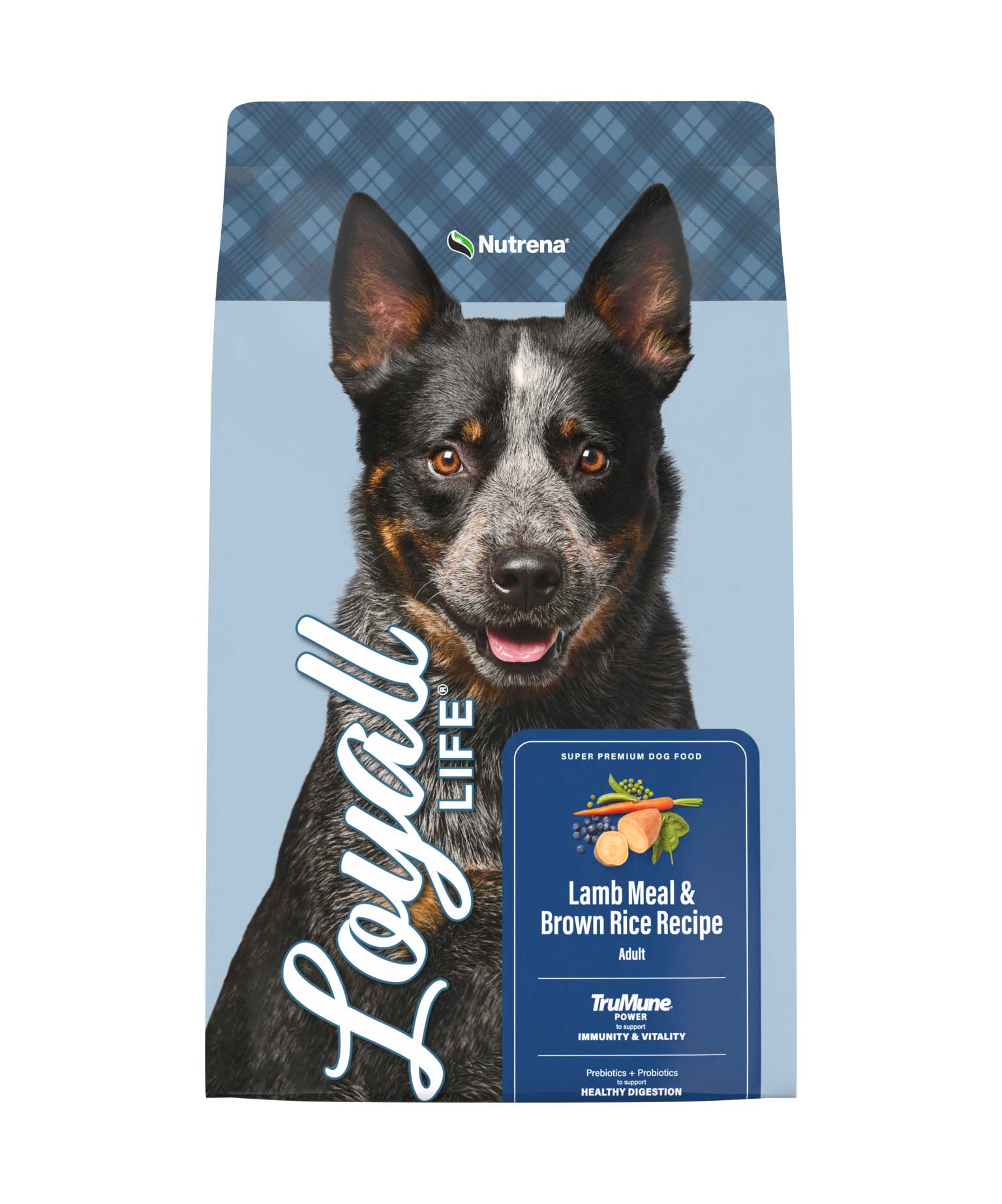 Loyall Life® Lamb Meal and Brown Rice Recipe Dry Dog Food
