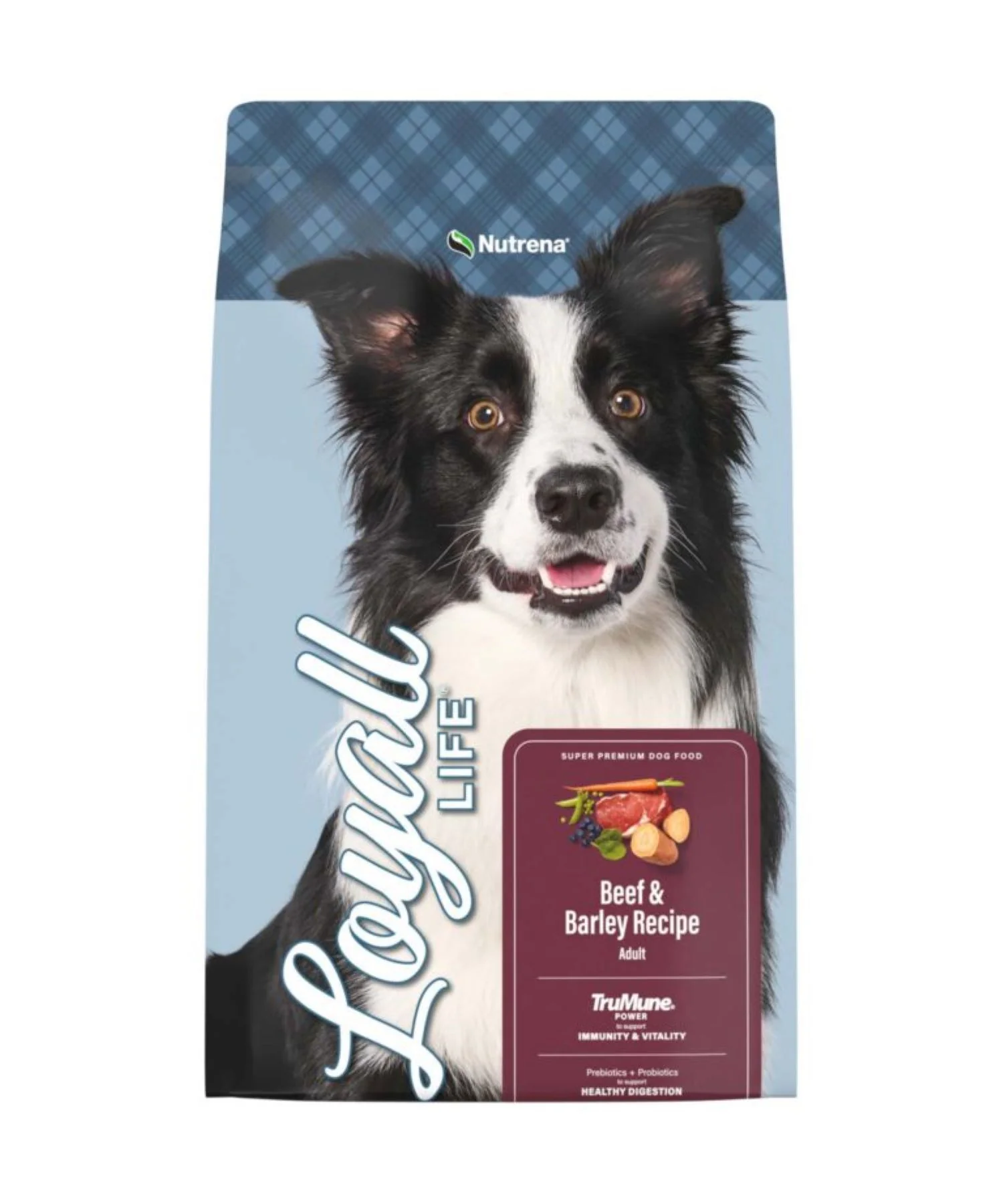 Loyall Life Adult Beef and Barley Dry Dog Food